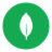 MongoDB